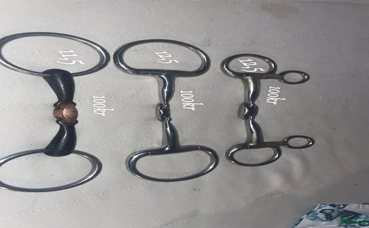 Bett hästutrustning till salu i Ås - Annons 26