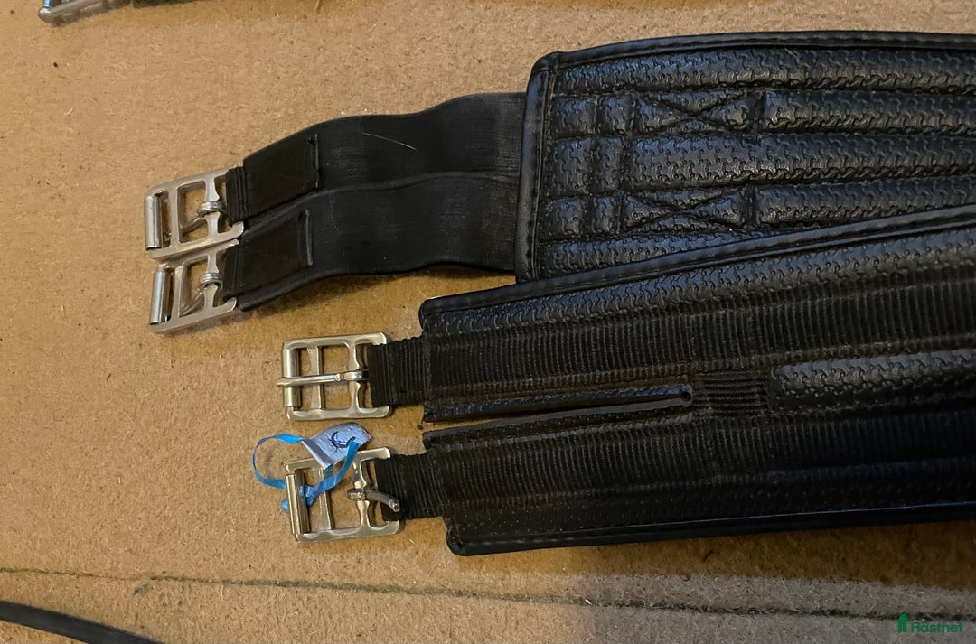 Sadeltillbehör hästutrustning till salu: Sadelgjordar  i Vallberga - Annons 2