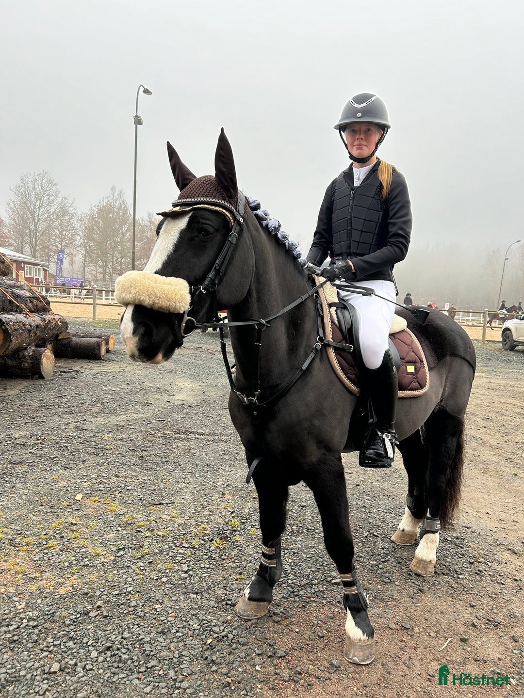Allround hästar till salu: Viktbärande maxad cponny i Tranås - Annons 4