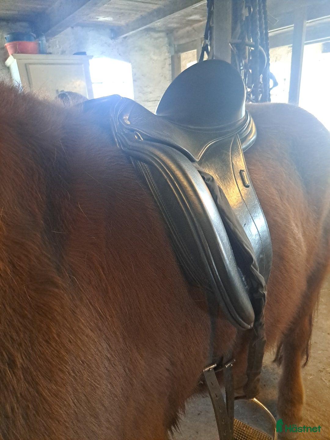 Sadlar hästutrustning till salu: Dressursadel Schleese Pirat  - Annons 2