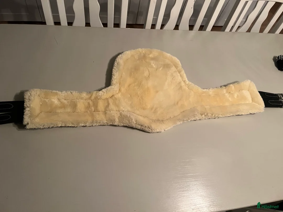 Sadeltillbehör hästutrustning till salu: Ny Kentucky magplatta med avtagbart fårskinn  - Annons 2