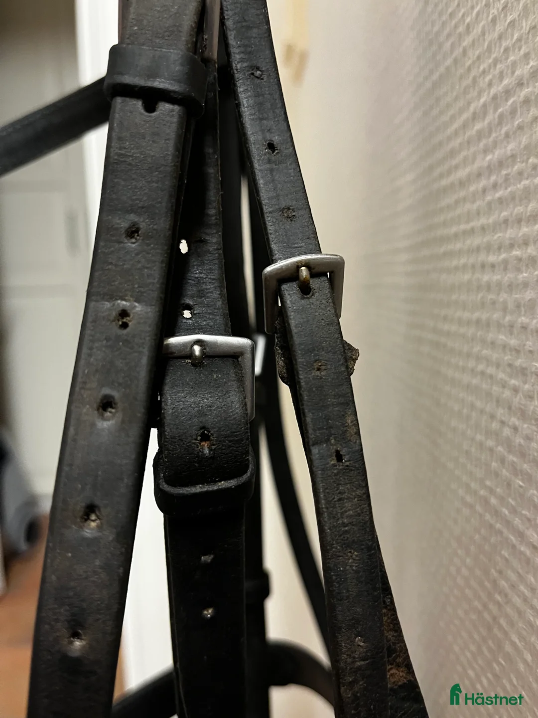 Träns hästutrustning till salu: Engelskt Svart Träns i Rättvik - Annons 2