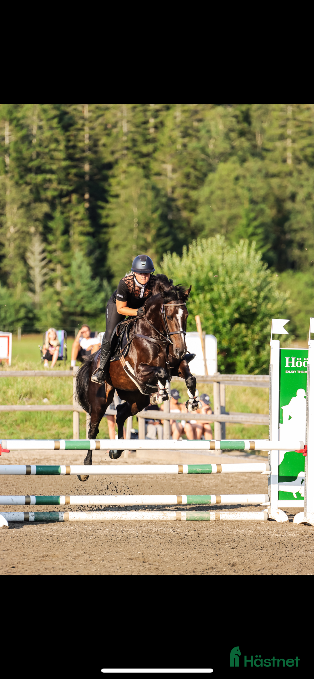 Allround hästar till salu: Dubbeltalang! i Strömstad - Annons 1