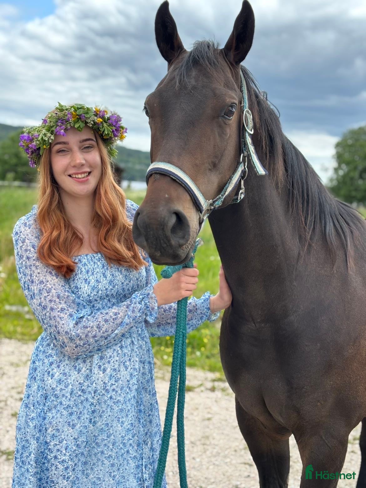  hästar Quarterkorsning som blir vad du gör han till i Matfors - Annons 3