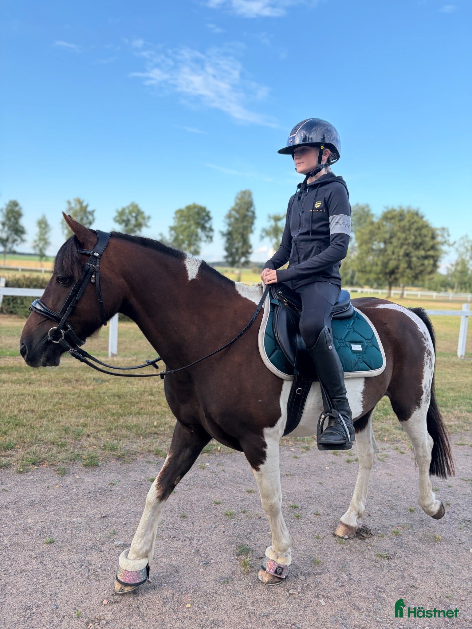  hästar Pigg och positiv ponny söker kärleksfullt hem.  - Annons 1