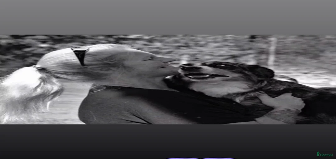 Galleribild {{count}}