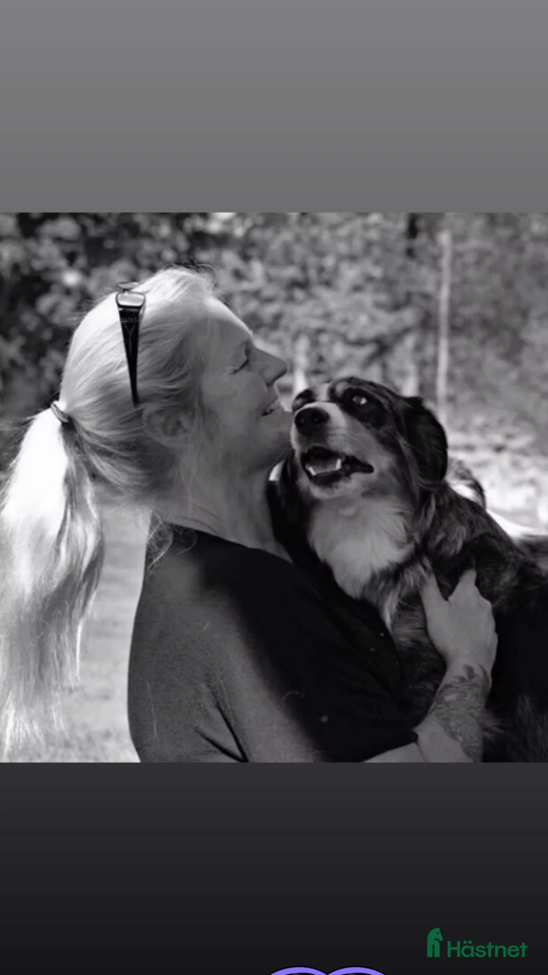 Galleribild {{count}}