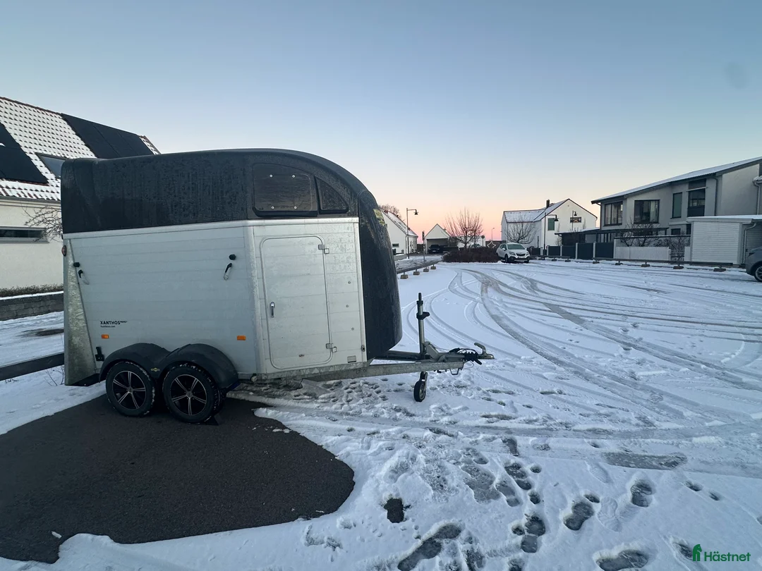 Hästtransporter  fordon & transport till salu: Humbaur hästtransport - Annons 4