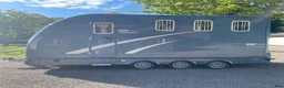 Hästtransporter  fordon & transport till salu: MULTI TREKA EQUI-TREK 3 hästar med bodel  - Annons 13
