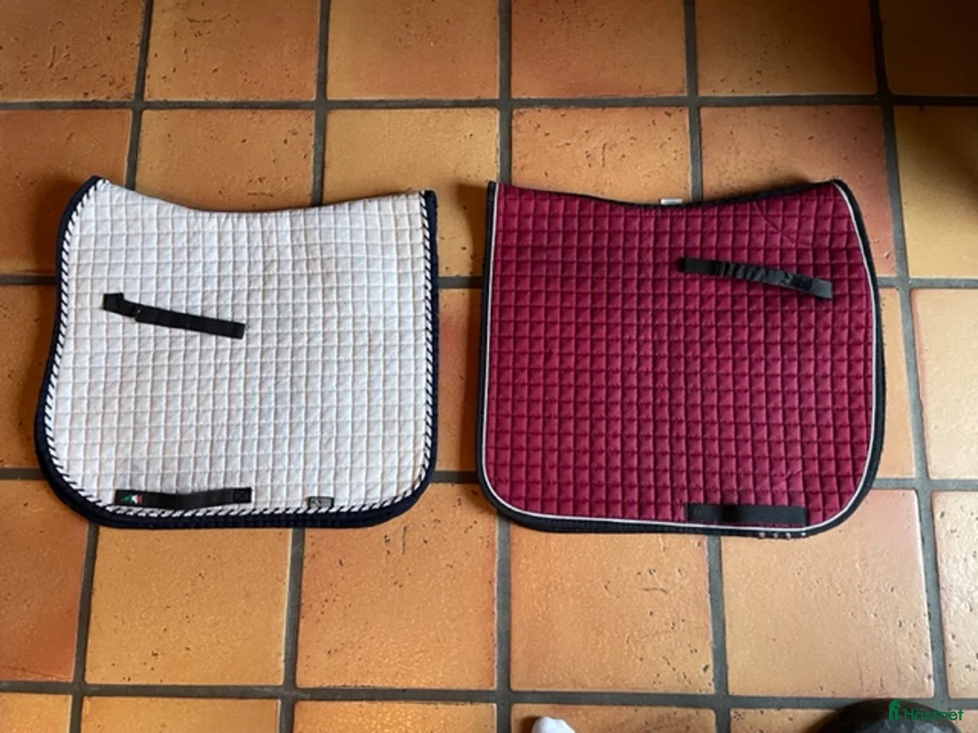 Sadeltillbehör hästutrustning till salu: AMERIGO VEGA DRESSYRSADEL med tillbehör i Värmdö - Annons 7