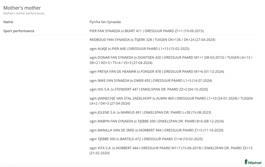 Dressyr hästar till salu: Daryan - lovande framtida sportstjärna - Annons 7