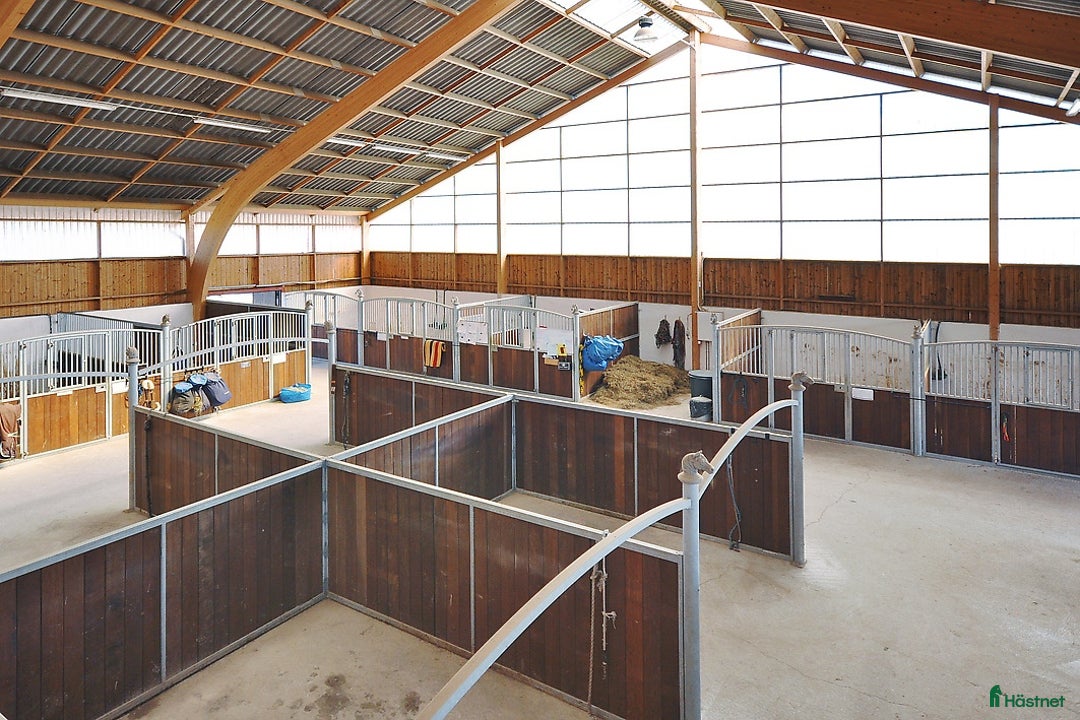  stallplats finnes: Stallplats i Eslöv i Eslöv - Annons 7