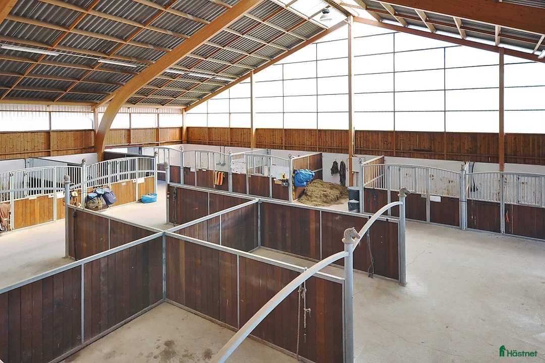  stallplats finnes: Stallplats i Eslöv i Eslöv - Annons 7