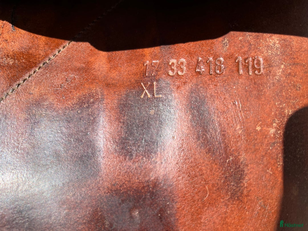 Sadlar hästutrustning till salu: Prestige Golden Star i Uppsala - Annons 4