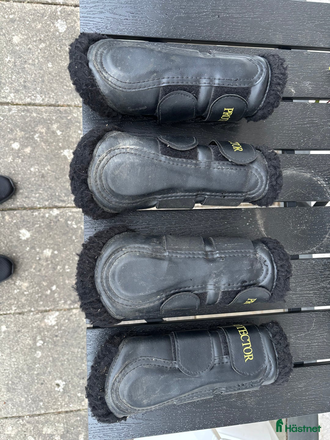 Benskydd hästutrustning till salu: Benskydd Protector  i Linghem - Annons 2