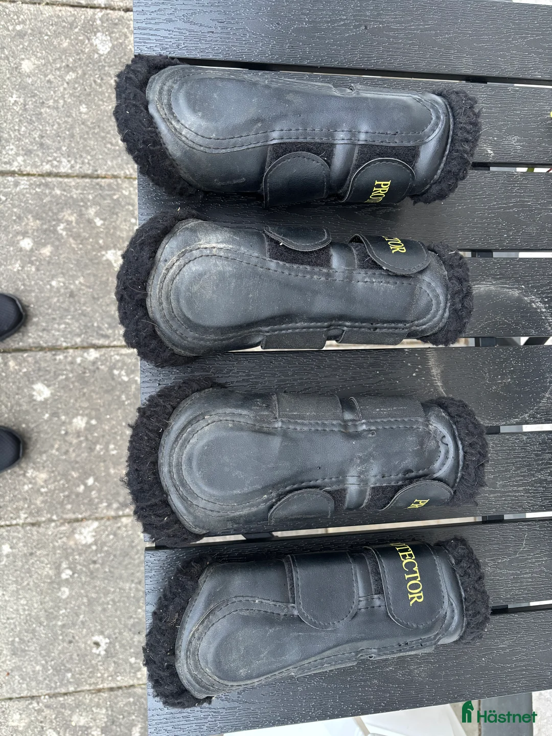 Benskydd hästutrustning till salu: Benskydd Protector  i Linghem - Annons 2