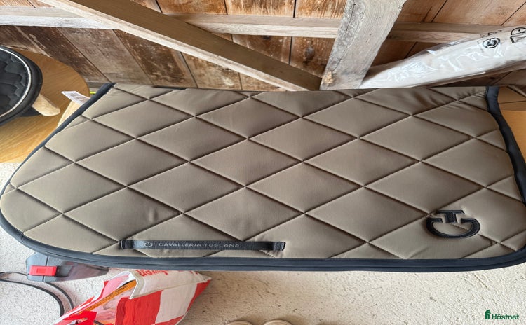 Schabrak & Vojlockar hästutrustning till salu i Norrtälje - Annons 5