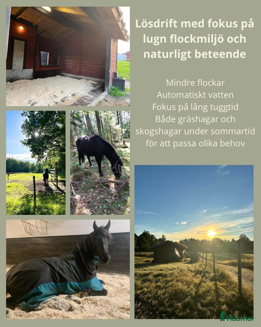  stallplats Stallplats i Skövde - Annons 2