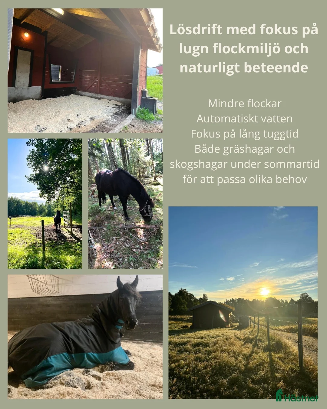  stallplats finnes: Stallplats i Skövde - Annons 2