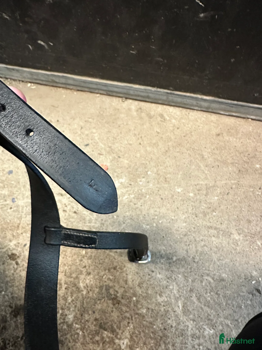 Träns hästutrustning till salu: dyon working collection i Boden - Annons 5