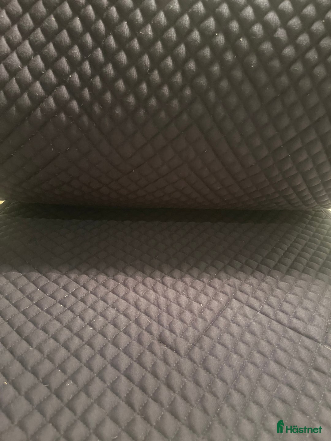 Schabrak & Vojlockar hästutrustning till salu: Schabrak mark todd i Knivsta - Annons 3