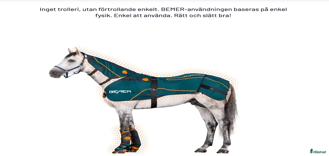 Galleribild {{count}}