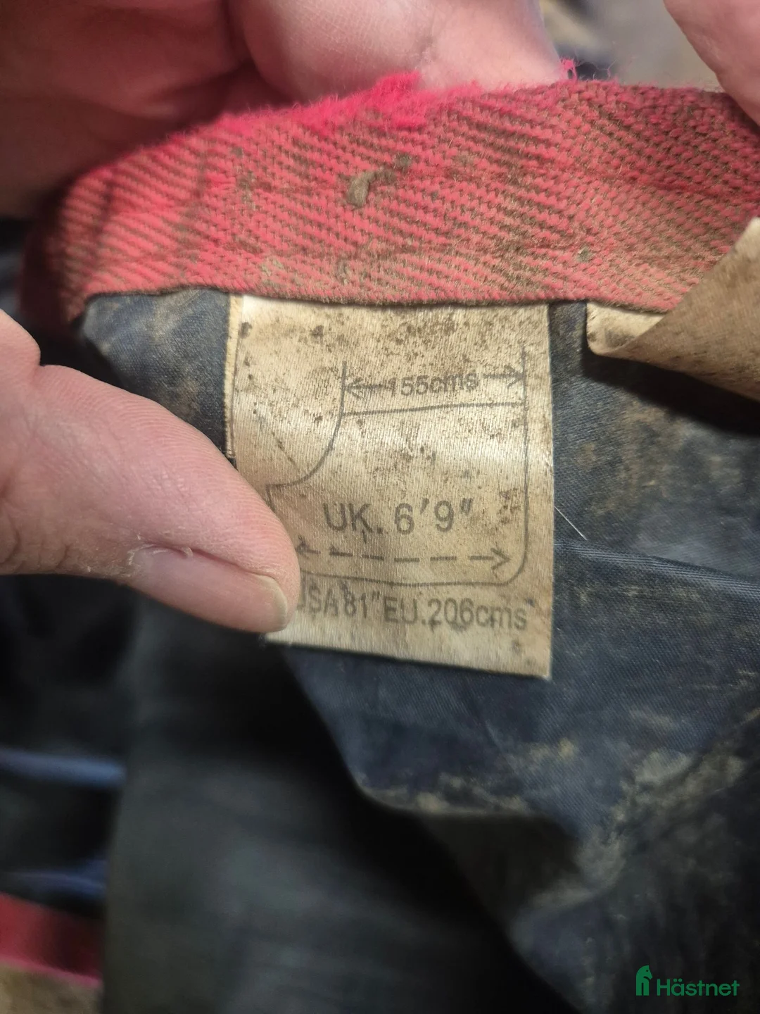 Täcken hästutrustning till salu: Amigo utetäcke 50g 155 - Annons 2