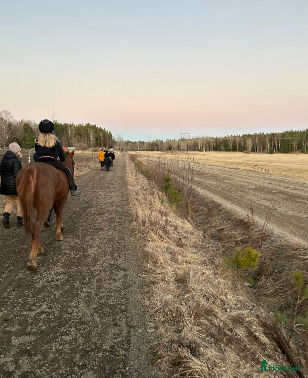  stallplats finnes: Uteboxar i Stav i Tungelsta - Annons 11