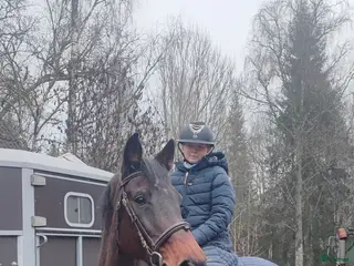 hästar Sällskap/Avel i Jät - Annons 15