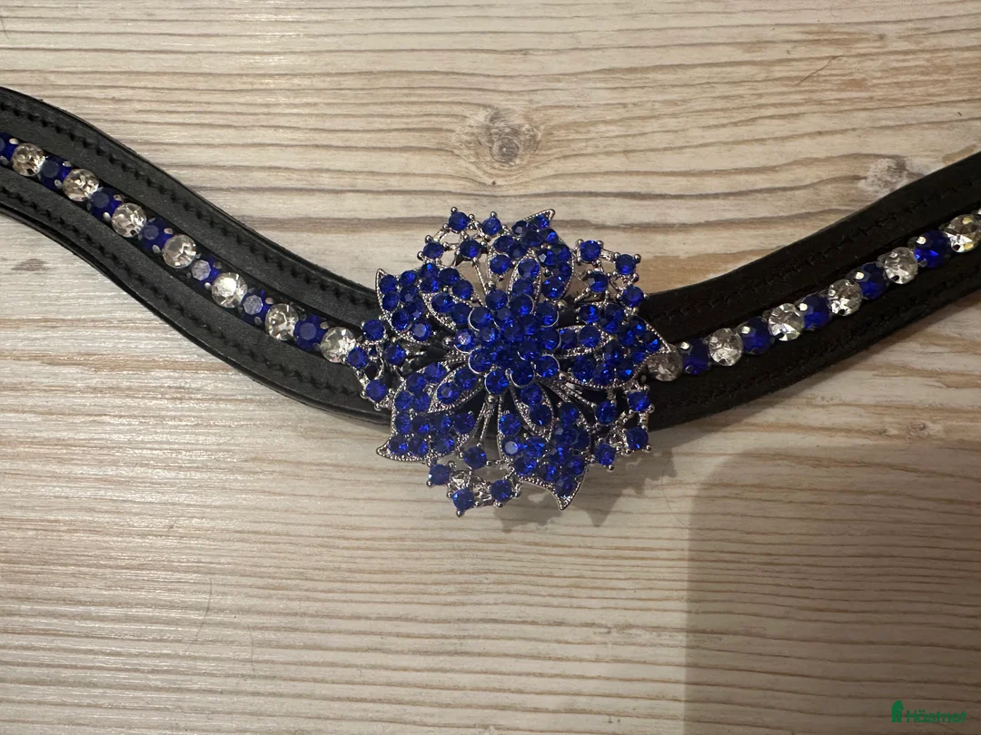 Övrig Hästutrustning hästutrustning till salu: Unika pannband till häst i Bro - Annons 2