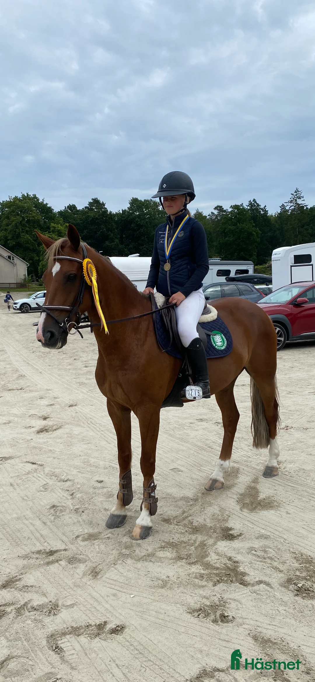 Fälttävlan hästar till salu: Underbar fräsch läomästare  - Annons 5