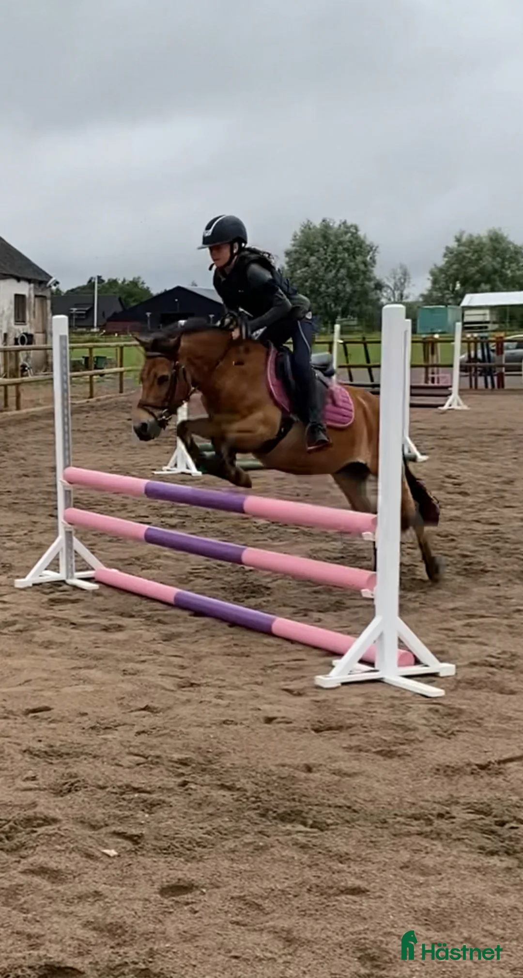 Hoppning hästar sökes: D-ponny sökes i Trelleborg - Annons 1