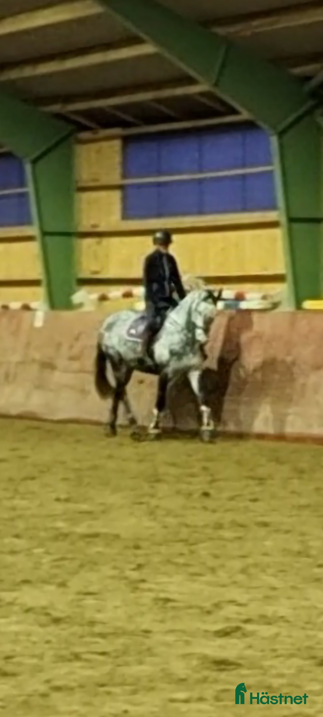  foderhäst Fodervärd sökes  i Horred - Annons 17