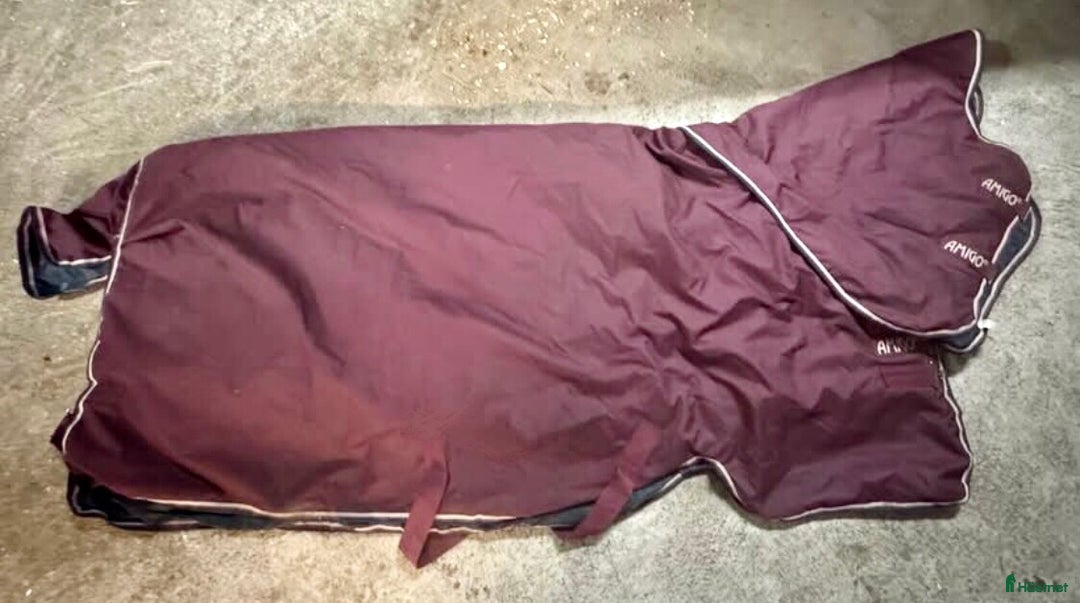 Täcken hästutrustning till salu: Horseware vintertäcke 140 i Båstad - Annons 1