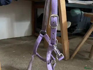 Övrig Hästutrustning hästutrustning Fairfield grimma - Annons 8