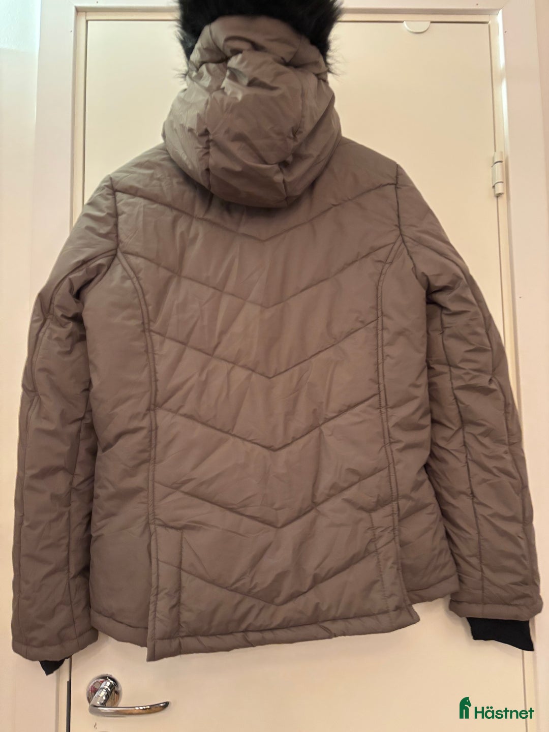 Jackor & Kavajer ryttarutrustning till salu: Oanvänd jacka från Equine. Storlek S i Stockholm - Annons 2