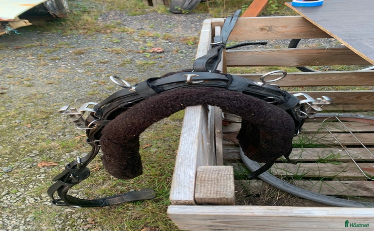 Körselar körning till salu i Lagan - Annons 18