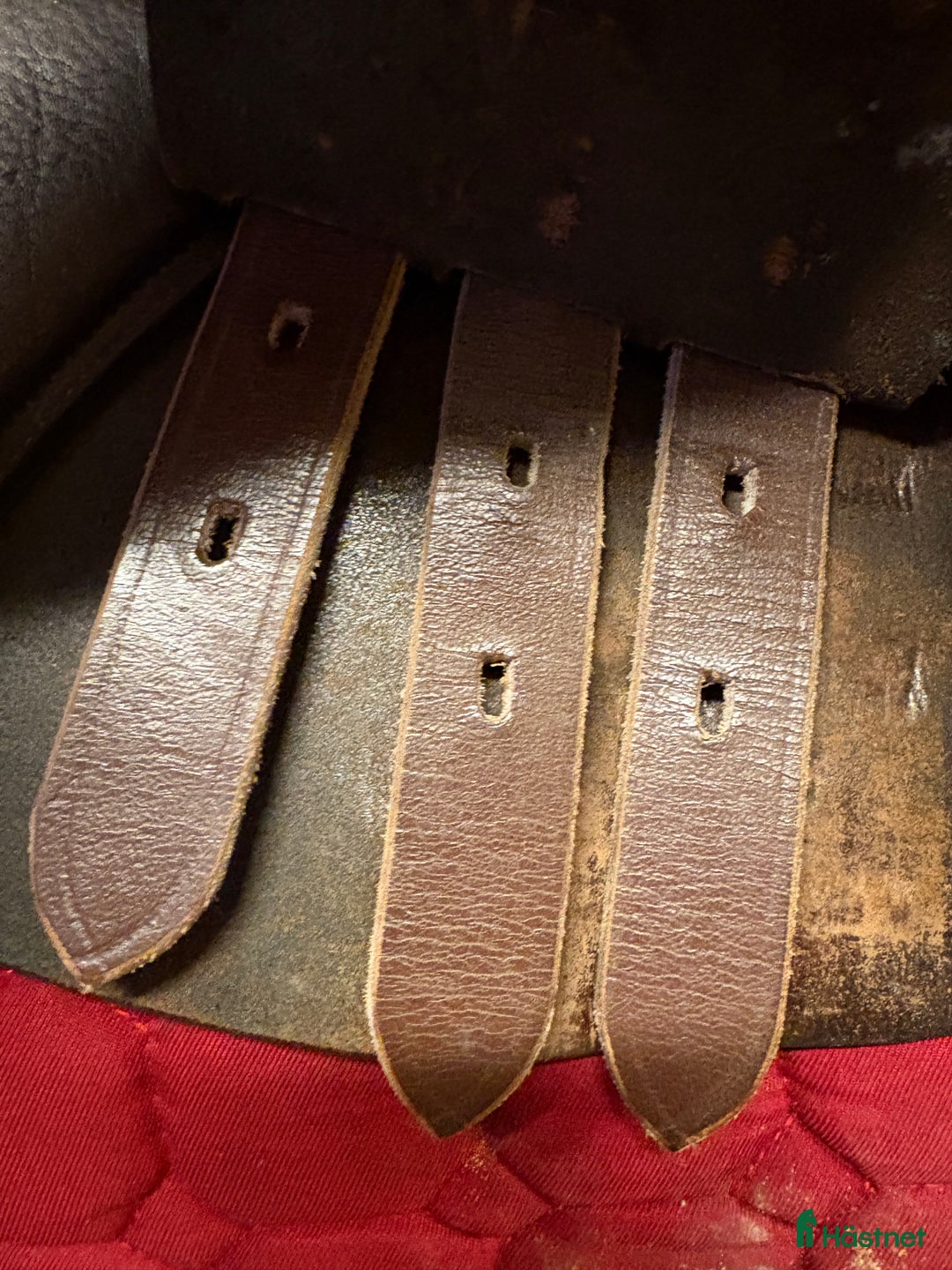 Sadlar hästutrustning till salu: Knights Robin Hood Elite 15” i Grästorp - Annons 7