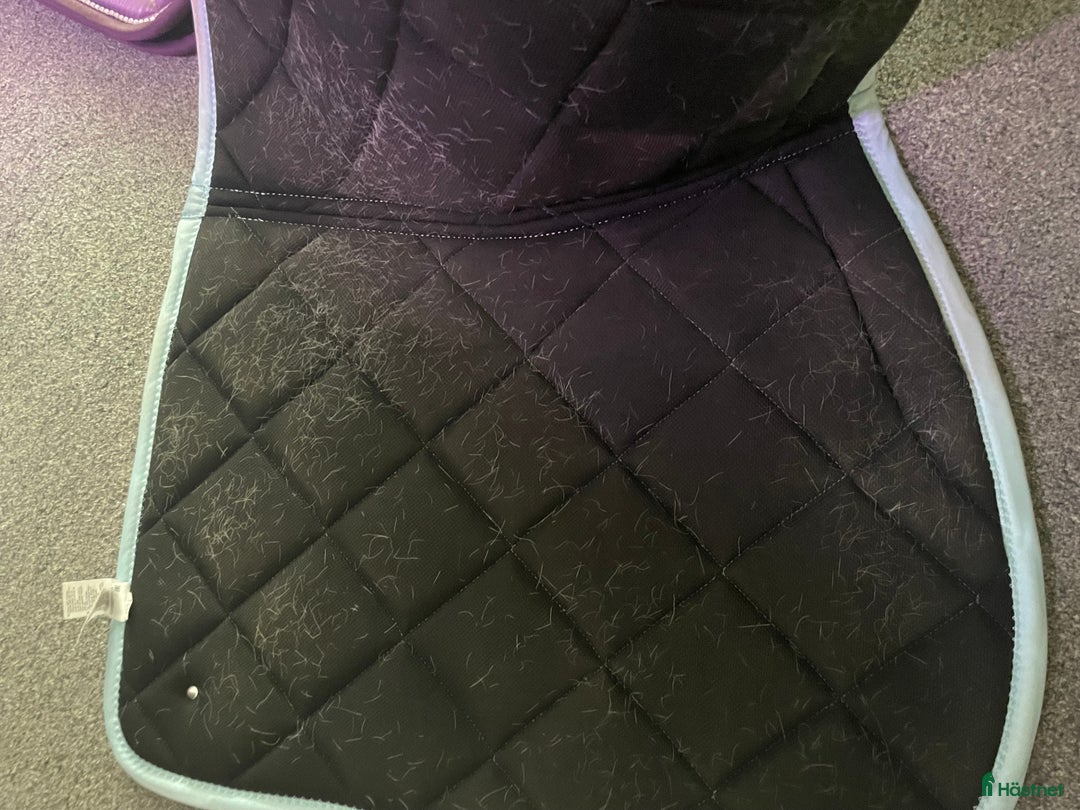 Schabrak & Vojlockar hästutrustning till salu: PS schabrak i fint skick i Södertälje - Annons 3