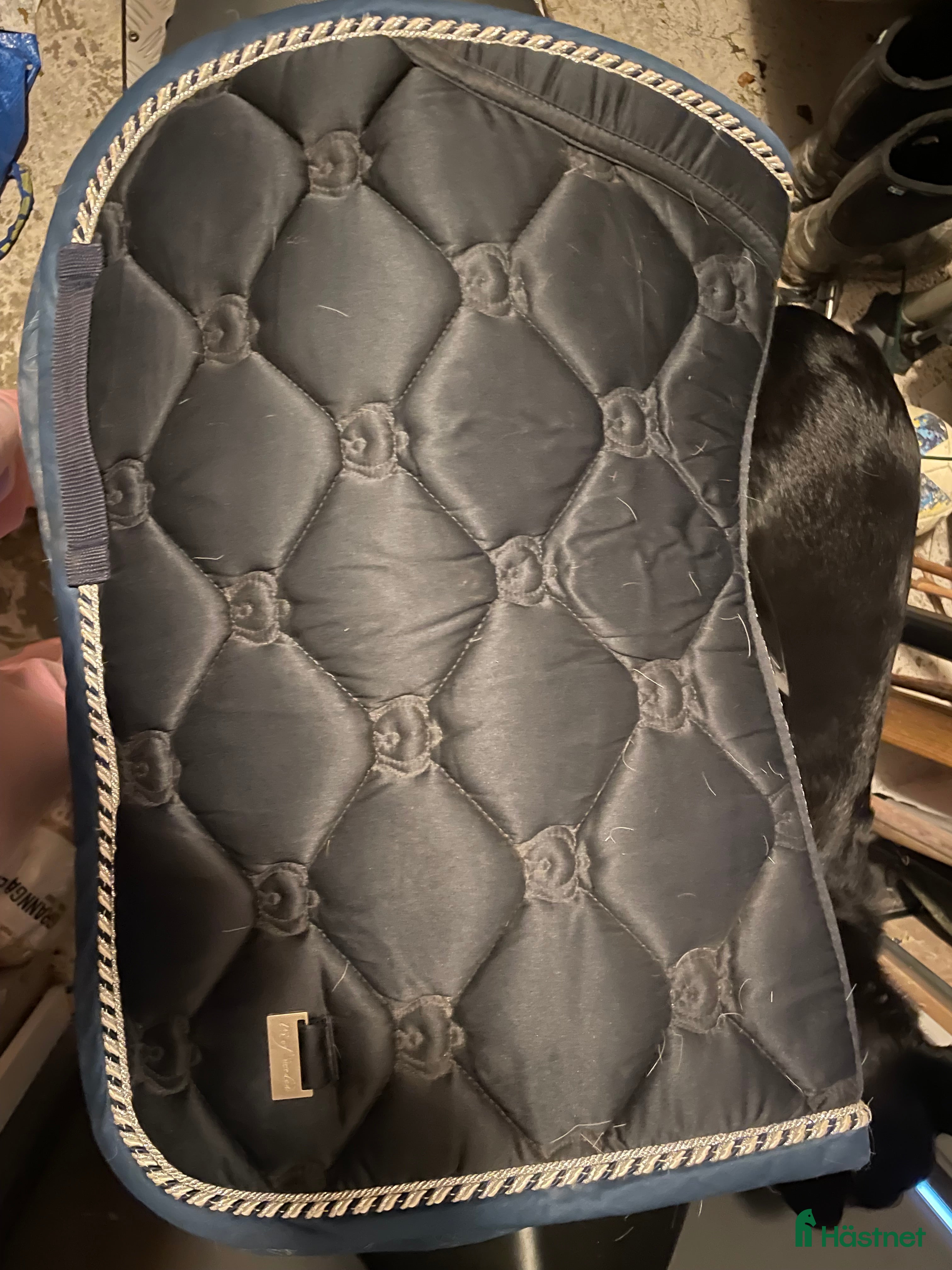 Schabrak & Vojlockar hästutrustning till salu: Ps schabrak  i Knivsta - Annons 16