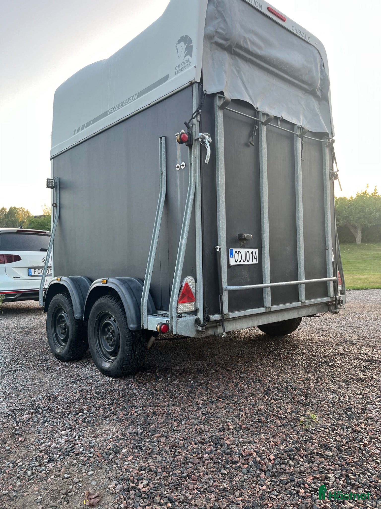 Hästtransporter  fordon & transport till salu: Cheval Liberté Gold  - Annons 18