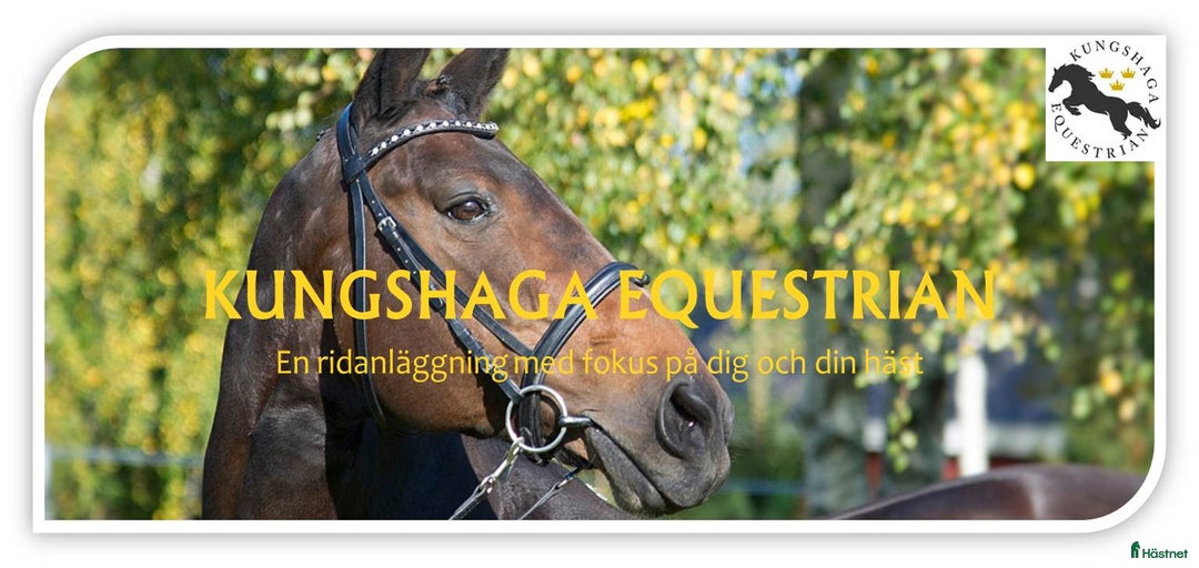 Galleribild {{count}}