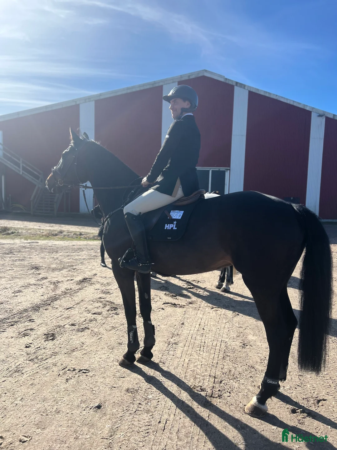 Hoppning hästar till salu: Hopphäst  - Annons 1