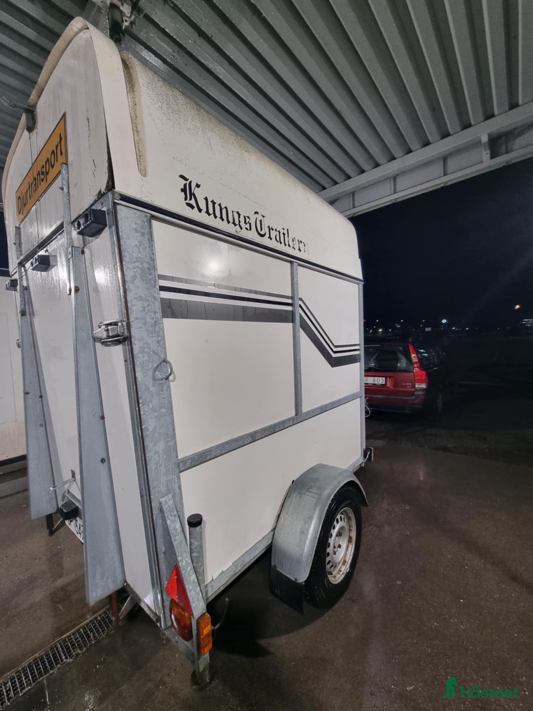 Hästtransporter  fordon & transport till salu: Hästtransport i Norrköping - Annons 6