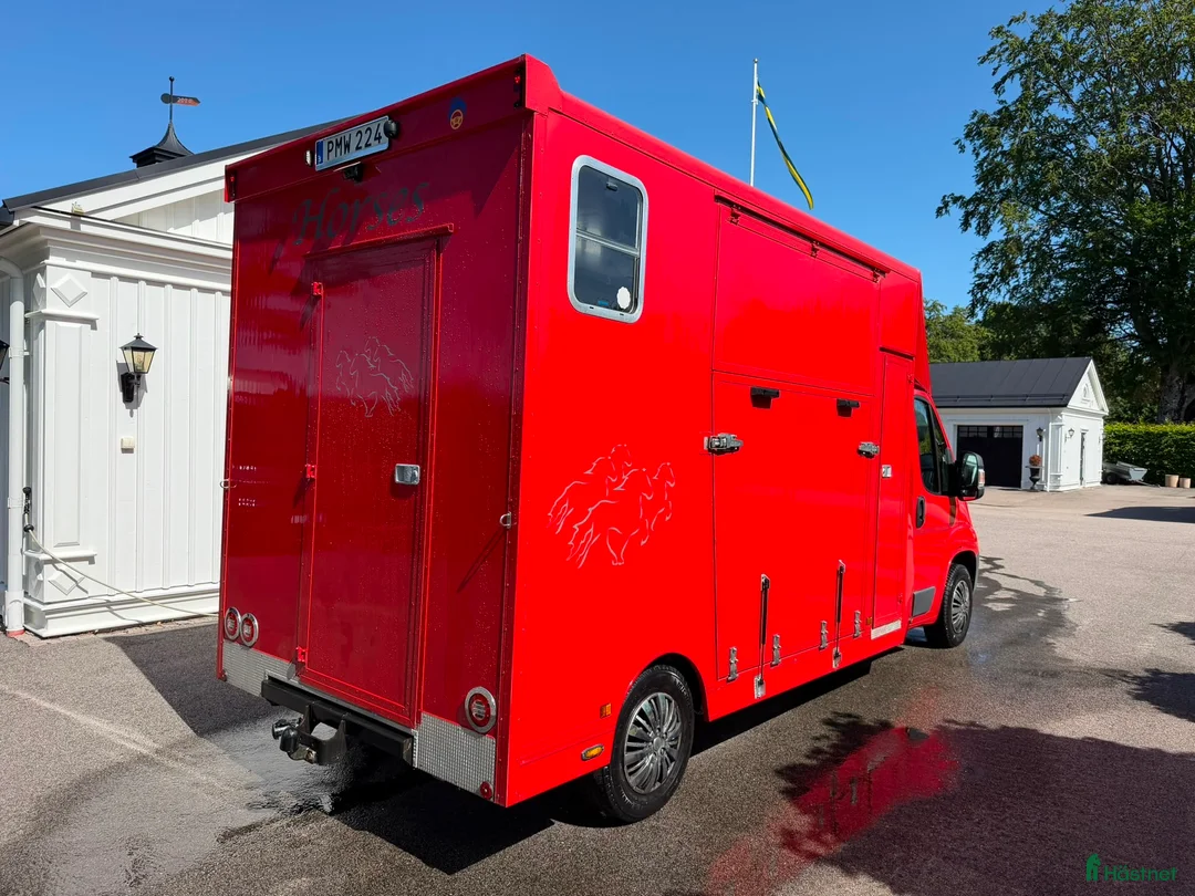 Hästlastbilar  fordon & transport till salu: Hästlastbil / 3sits / Hög lastvikt / Låg skatt - Annons 2