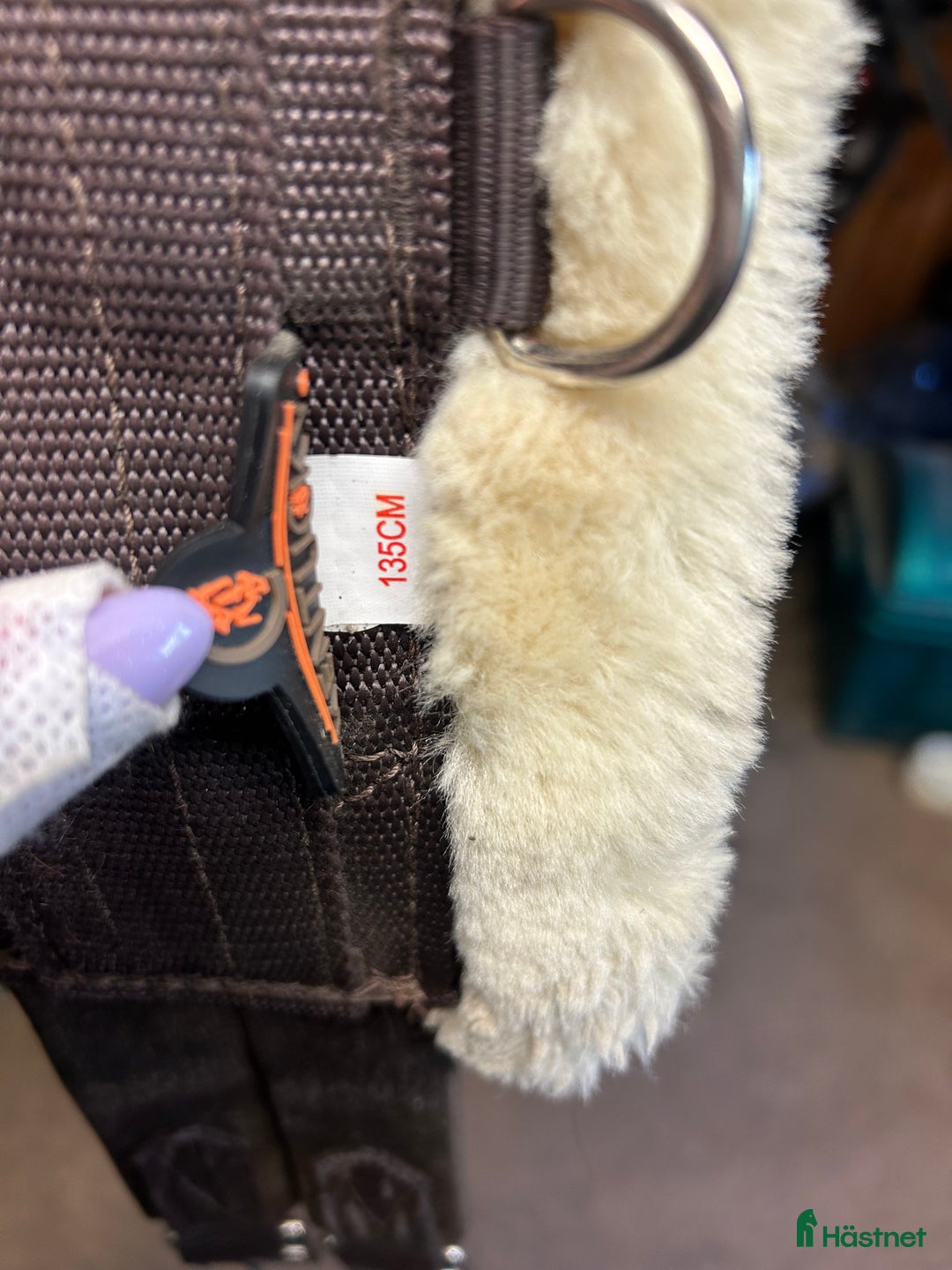 Övrig Hästutrustning hästutrustning till salu: Blandat säljes i Lammhult - Annons 2