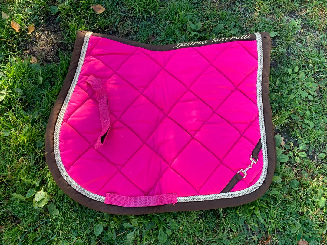 Schabrak & Vojlockar hästutrustning till salu: Schabrak  i Rånäs - Annons 1