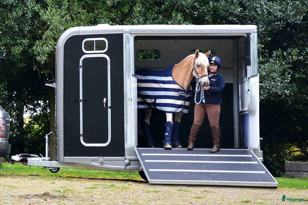 Hästtransporter  fordon & transport till salu: SÖKER: Trail Treka i Norrtälje - Annons 1