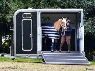 Hästtransporter fordon & transport till salu: SÖKER: Trail Treka i Norrtälje - Annons 4