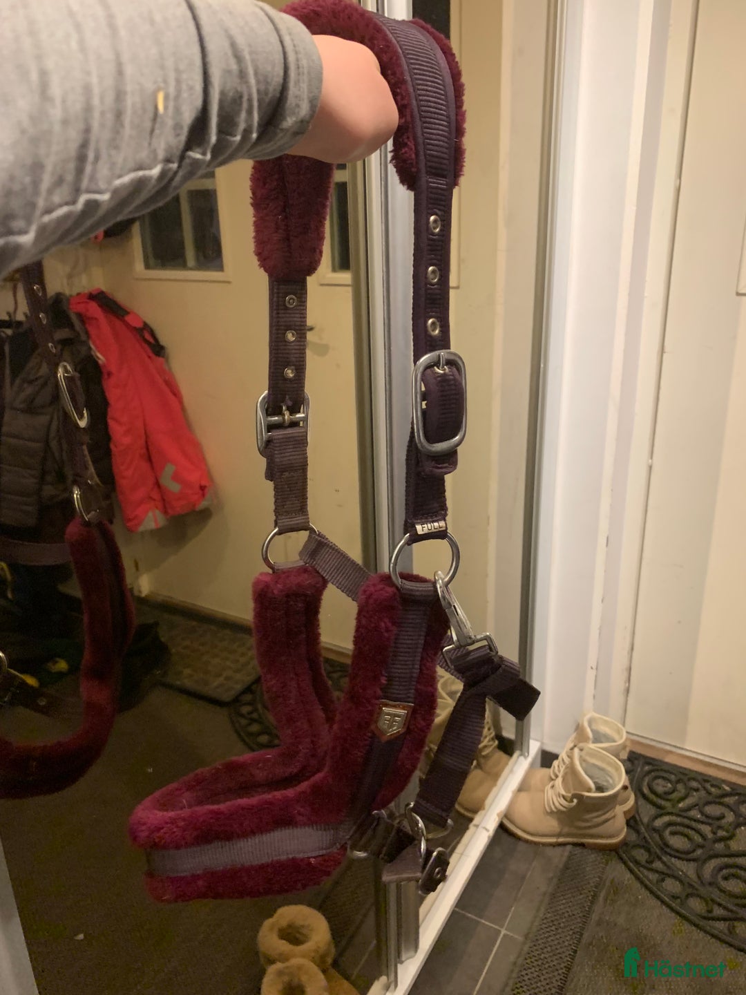 Schabrak & Vojlockar hästutrustning till salu: Schabrak och grimmor  - Annons 7